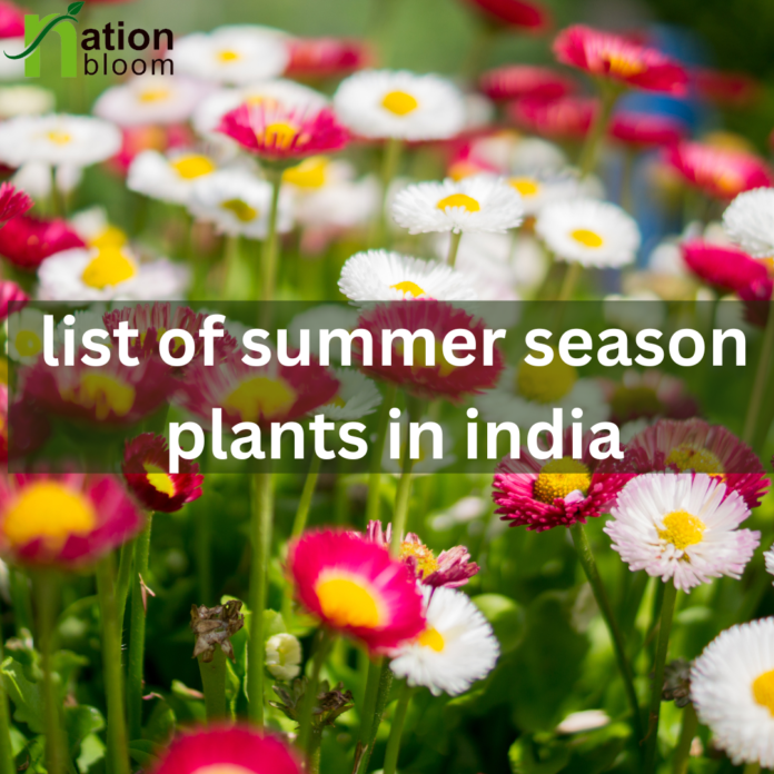 List of summer season plants in India