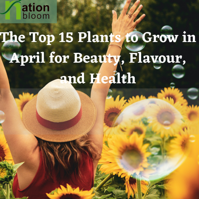 The Top 15 Plants to Grow in April for Beauty, Flavour, and Health